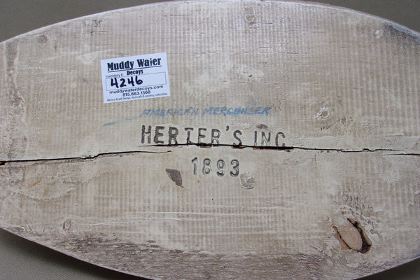 Rare Herters 1893 Series Common Merganser  (#4246)