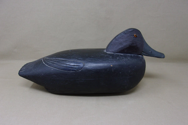 Delaware River Black Duck- Snugglehead (#4251)