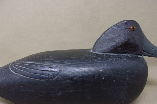 Delaware River Black Duck- Snugglehead (#4251)