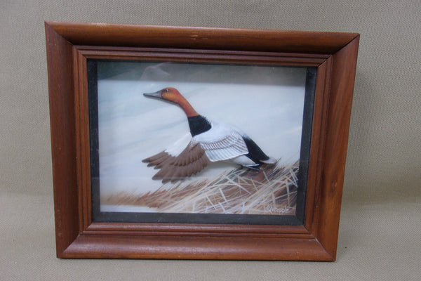 Flying Canvasback Diorama, hand painted by Whipple for Abercrombie & Fitch (#4269)