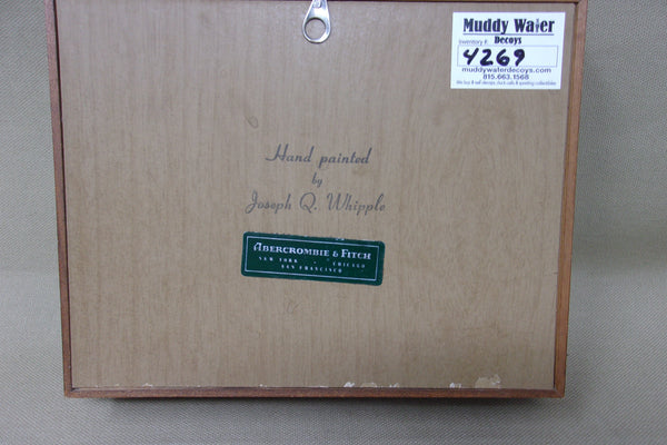 Flying Canvasback Diorama, hand painted by Whipple for Abercrombie & Fitch (#4269)