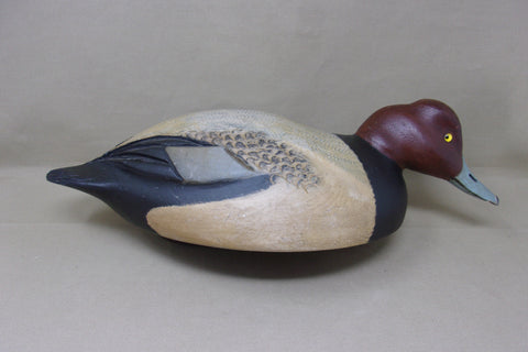 Dark Feather Freedman Redhead  (#4282)