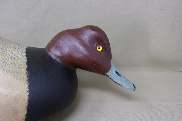 Dark Feather Freedman Redhead  (#4282)