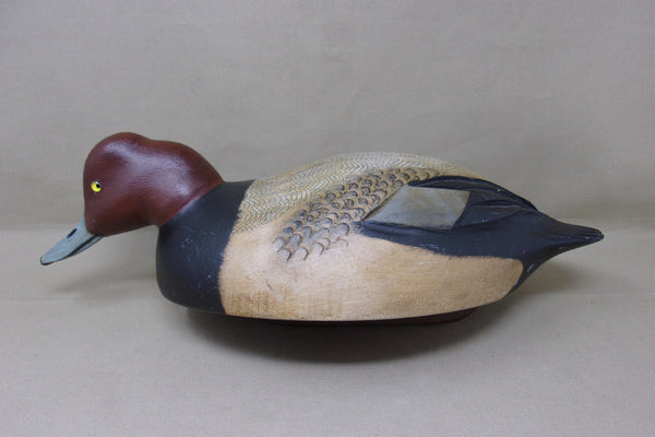 Dark Feather Freedman Redhead  (#4282)