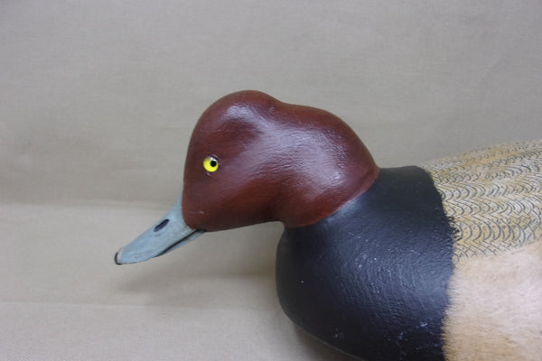 Dark Feather Freedman Redhead  (#4282)