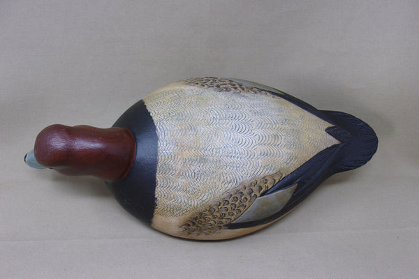 Dark Feather Freedman Redhead  (#4282)