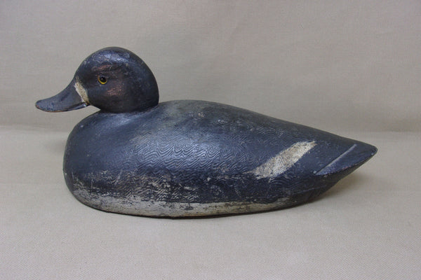 Canada Blue Bill Hen, Prince Edwards Area (#4290)