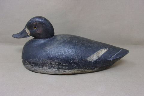 Canada Blue Bill Hen, Prince Edwards Area (#4290)