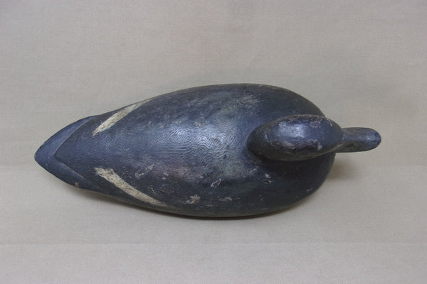 Canada Blue Bill Hen, Prince Edwards Area (#4290)