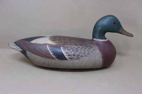Charles Perdew Mallard Drake, Circa 1930's  (#4297)