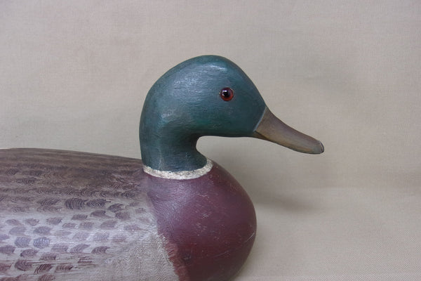 Charles Perdew Mallard Drake, Circa 1930's  (#4297)