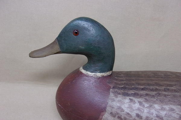 Charles Perdew Mallard Drake, Circa 1930's  (#4297)