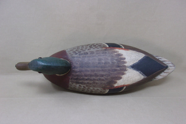 Charles Perdew Mallard Drake, Circa 1930's  (#4297)