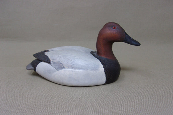 Mini Canvasback Drake, Quarter Size (#4308)
