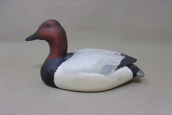 Mini Canvasback Drake, Quarter Size (#4308)
