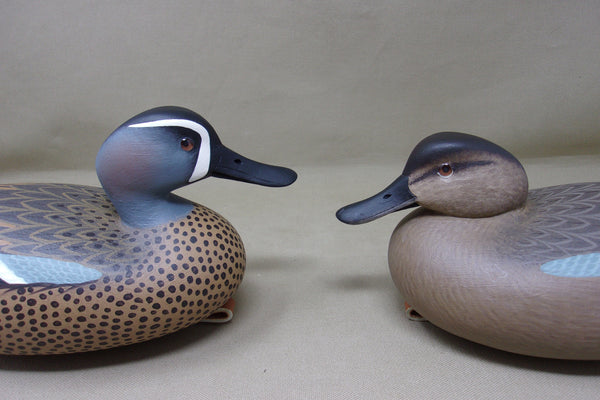 Rick Brown Blue Wing Teal Pair  (#4314)