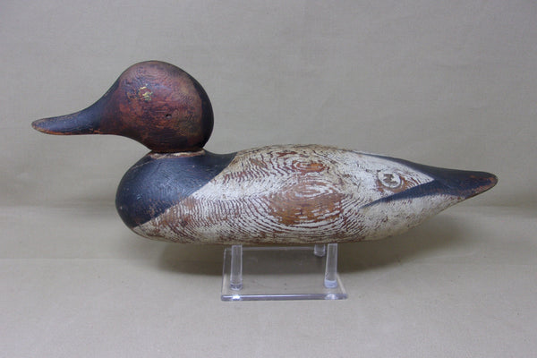 Mason Painted Eye Canvasback, Circa 1915  (#4326)
