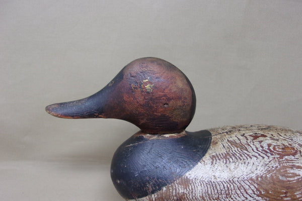 Mason Painted Eye Canvasback, Circa 1915  (#4326)