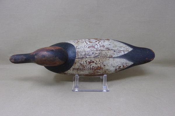 Mason Painted Eye Canvasback, Circa 1915  (#4326)