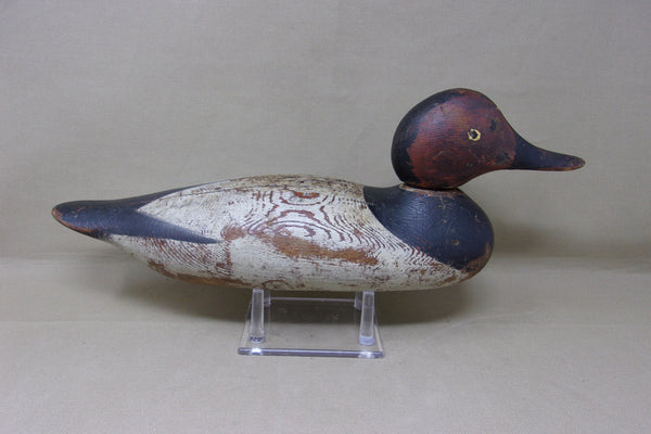 Mason Painted Eye Canvasback, Circa 1915  (#4326)