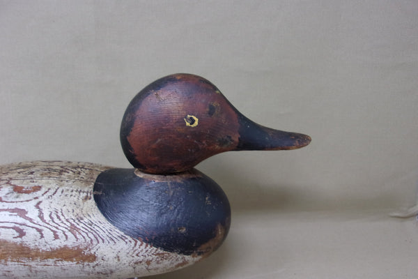 Mason Painted Eye Canvasback, Circa 1915  (#4326)
