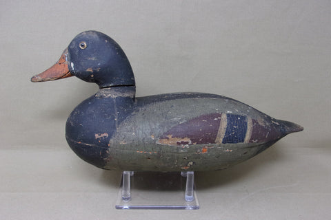 Elliston Diver, Circa 1890 (#4339)