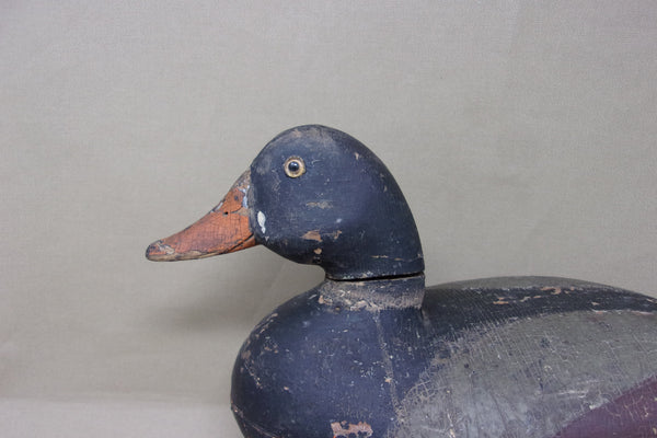 Elliston Diver, Circa 1890 (#4339)