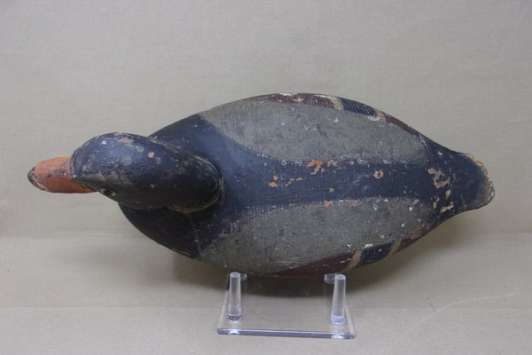 Elliston Diver, Circa 1890 (#4339)