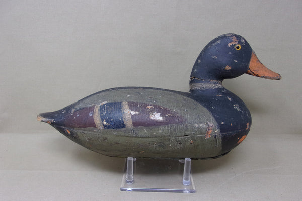 Elliston Diver, Circa 1890 (#4339)