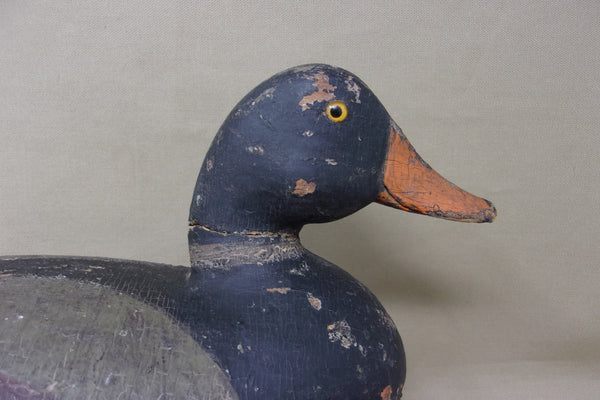 Elliston Diver, Circa 1890 (#4339)