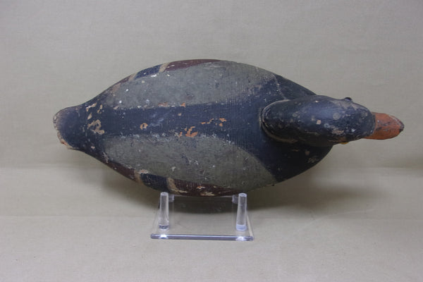 Elliston Diver, Circa 1890 (#4339)