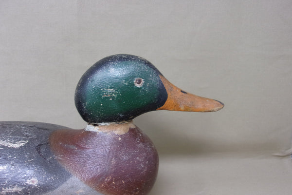 Mason Mallard Tackeye, All Original, Circa 1920's (#4340)
