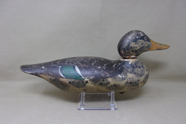 Mason Mallard Hen All Original Paint, Circa 1920's  (#4342)