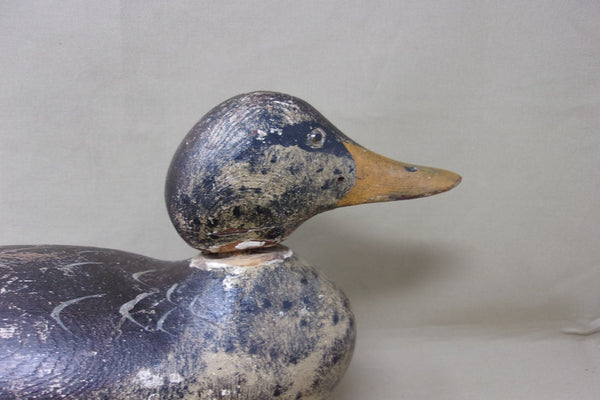 Mason Mallard Hen All Original Paint, Circa 1920's  (#4342)