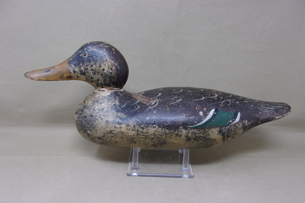 Mason Mallard Hen, All Original, Circa 1920's (#4343)