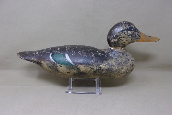Mason Mallard Hen, All Original, Circa 1920's (#4343)