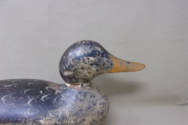 Mason Mallard Hen, All Original, Circa 1920's (#4343)