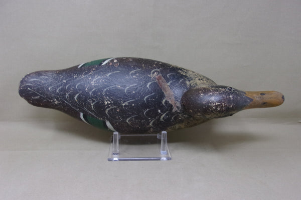 Mason Mallard Hen, All Original, Circa 1920's (#4343)