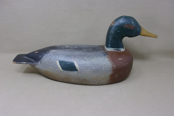 Illinois River Mallard Drake, Circa 1930's, All Original (#4349)