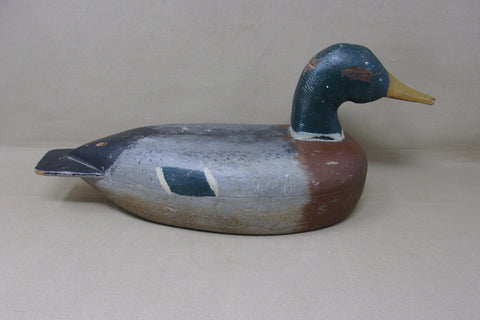 Illinois River Mallard Drake, Circa 1930's, All Original (#4349)