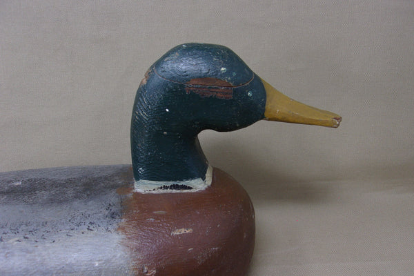 Illinois River Mallard Drake, Circa 1930's, All Original (#4349)