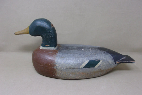 Illinois River Mallard Drake, Circa 1930's, All Original (#4349)
