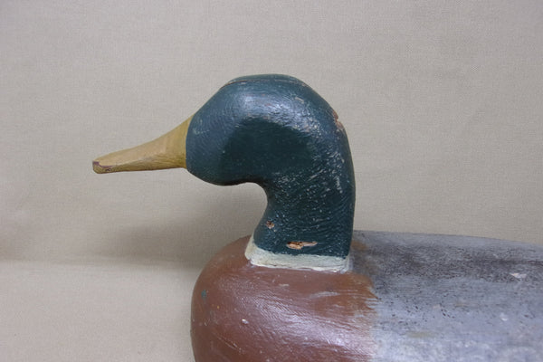 Illinois River Mallard Drake, Circa 1930's, All Original (#4349)