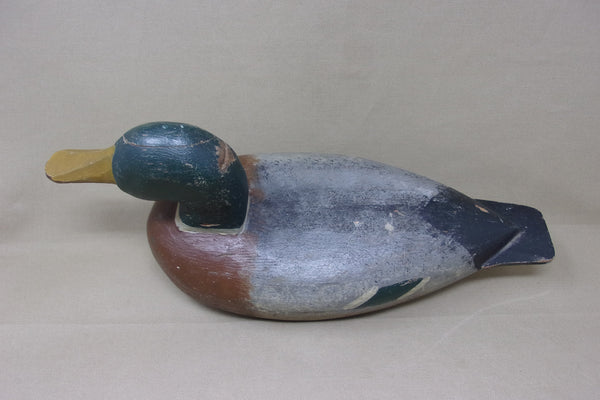 Illinois River Mallard Drake, Circa 1930's, All Original (#4349)