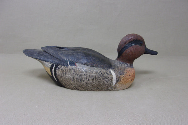 Sanford "Bud" Tyler Green Wing Teal (#4357)