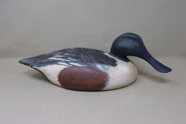 Lawrence Harris Shoveler Drake  (#4359)