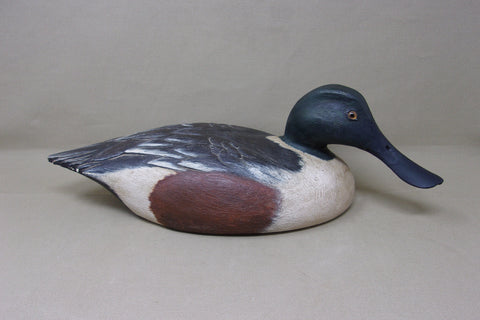 Lawrence Harris Shoveler Drake  (#4359)