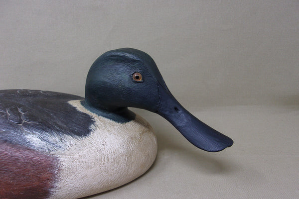 Lawrence Harris Shoveler Drake  (#4359)