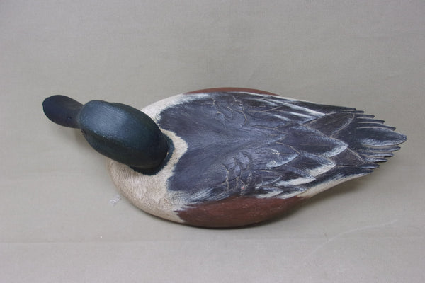 Lawrence Harris Shoveler Drake  (#4359)