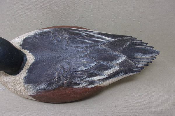 Lawrence Harris Shoveler Drake  (#4359)